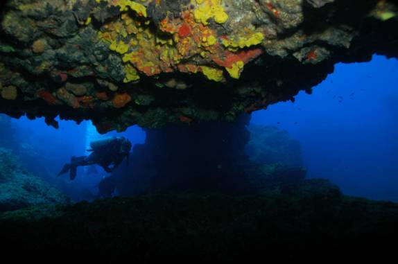 Formação de corais durante mergulho em Pedras Secas I, em Fernando de Noronha - PE (foto de Mateus Harfush - Ciliares)